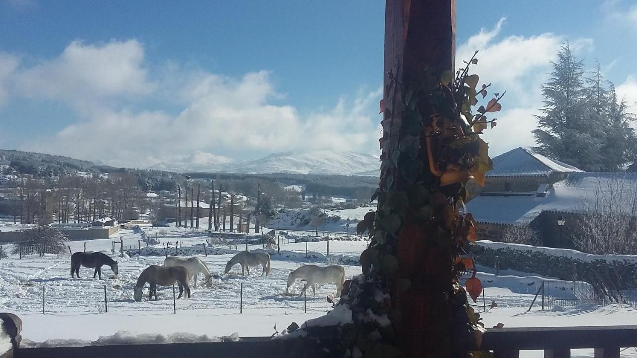 Вілла Casa Del Altozano Barajas de Gredos Екстер'єр фото